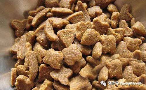 三个月的狗狗可以吃干狗粮吗