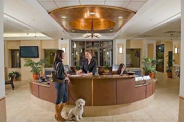 这些奢华的宠物酒店，简直就是宠物界的“皇宫”