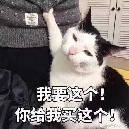 猫咪奇葩买家秀，这次卖家哭着对你说，别在上照了...