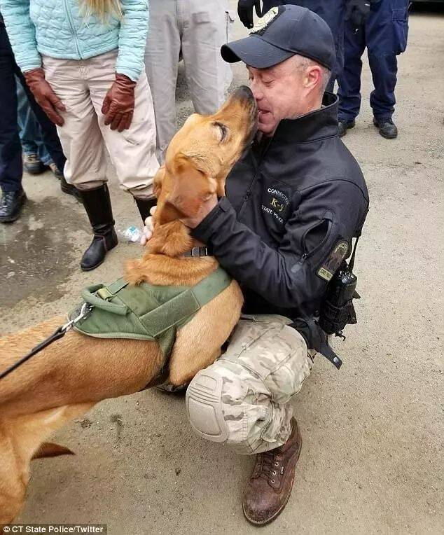 搜救犬意外跌落山谷，消防员和市民不过圣诞节也要找到狗狗