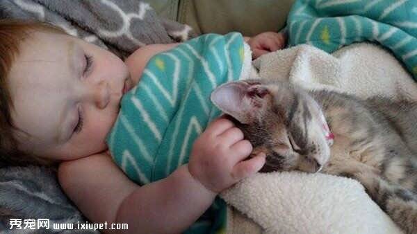 看看女婴和猫咪一起睡觉同时醒来的样子
