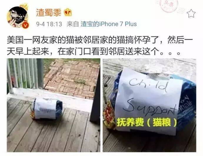 给你20袋猫粮，请离开我家喵！