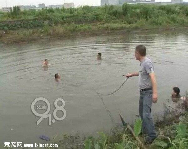 杭州一男子把狗扔河里测试游泳，自己失足掉水中溺亡