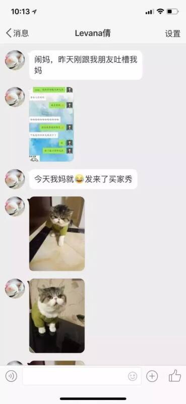 老妈把亲女儿的毛衣给拆了，就为了给家里的猫主子做一件新毛衣