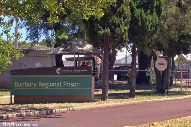 澳州监狱把重刑犯和一群恶狗关在一起，结果……