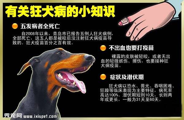 狂犬病的早期症状以及狂犬疫苗使用的注意事项