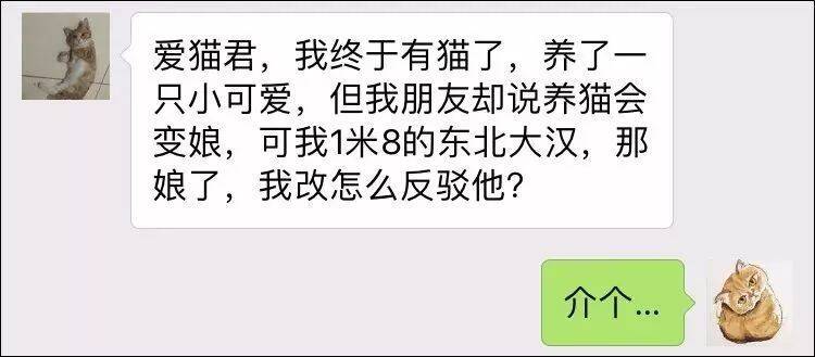 “我1米8硬汉，你说我养猫会变娘？”