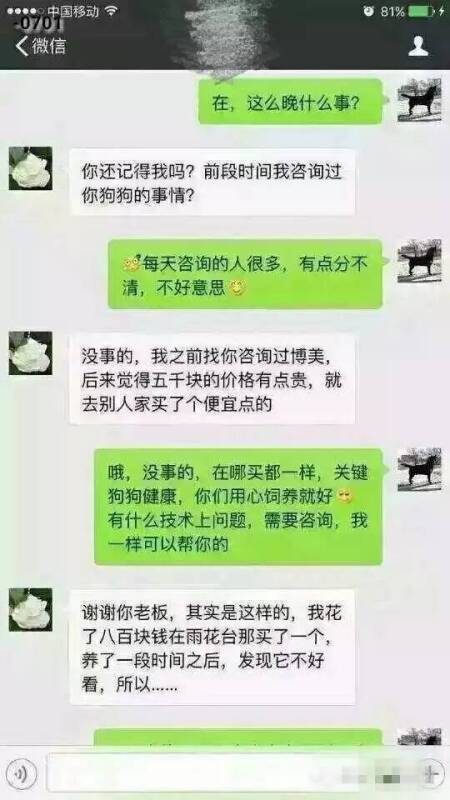 宠物店主与狗主人的聊天记录！终于明白流浪狗都是怎么来的了....