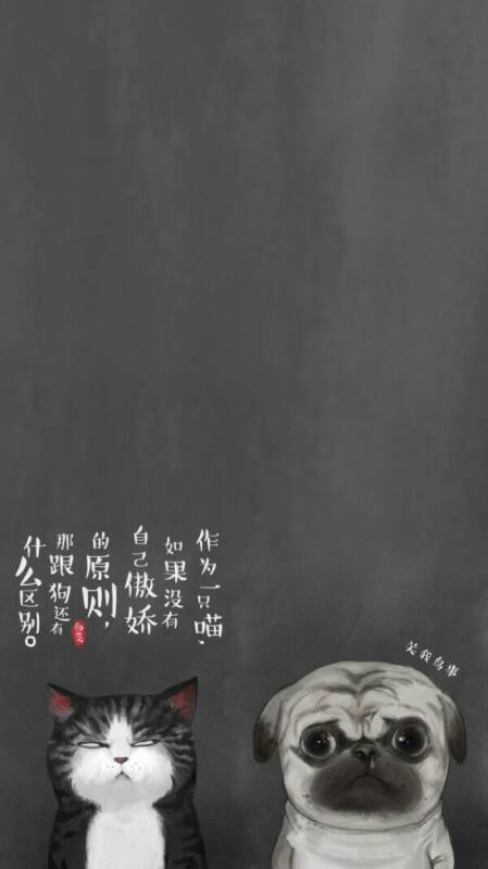 养猫和养狗的区别，狗奴看了沉默猫奴看了流泪...