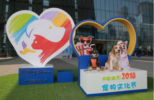 2018中国（南京）宠物文化节圆满落幕！