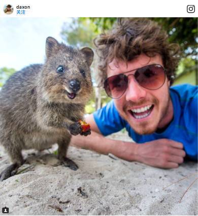 这只超可爱的澳大利亚自拍王——短尾矮袋鼠，俘获了一个男人