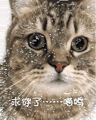 网友自创了一种新型的撸猫手法，主子的表情却一言难尽…