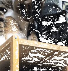 一只心机猫，突然伸头过去想让别猫帮着舔……