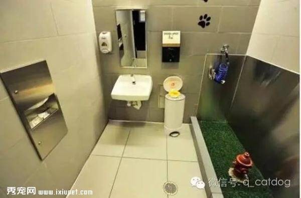 纽约机场推出宠物专用厕所，真是太“汪性化”！