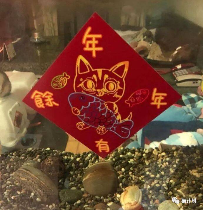 虽然是狗年，但是猫奴家贴的春联都是这样的…