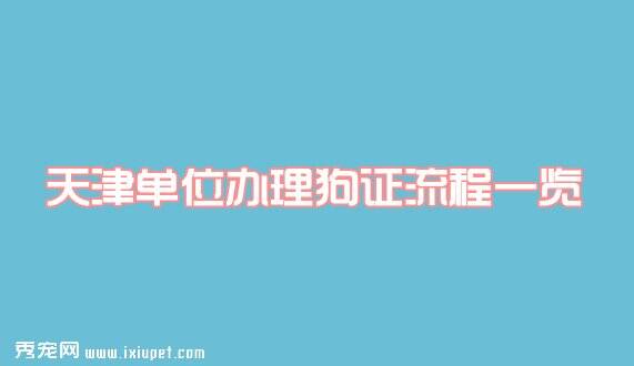 天津单位养犬办理狗证流程一览