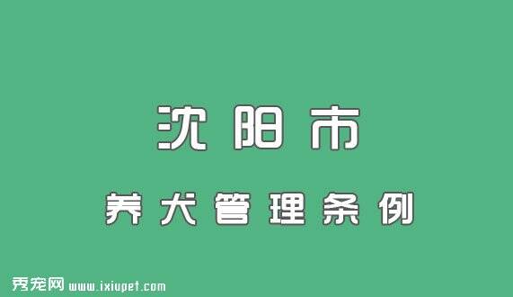 沈阳市养犬管理条例自2011年5月1日起施行