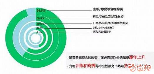 千亿级宠物市场,行情持续升温