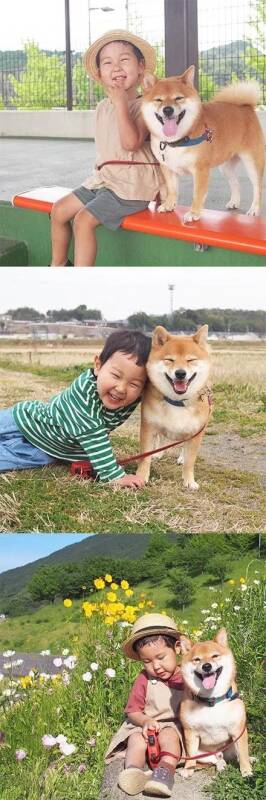 柴犬八朔和小主人的日常，是理想中的童年呀~