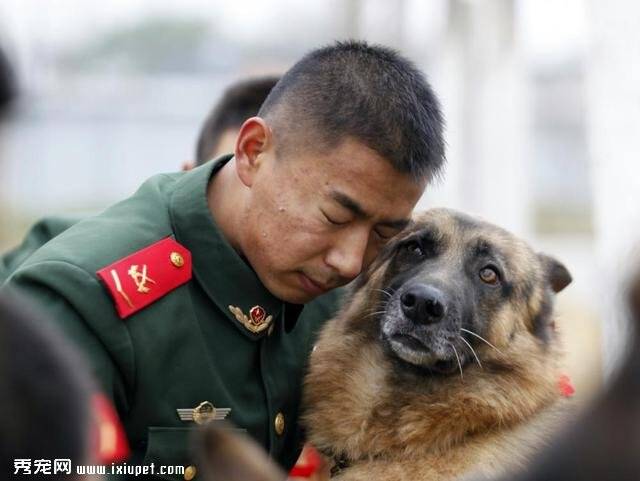 军人与军犬的情感可有人懂？