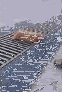 小狗听到主人叫唤，它跃身跳起，结果悲剧了....