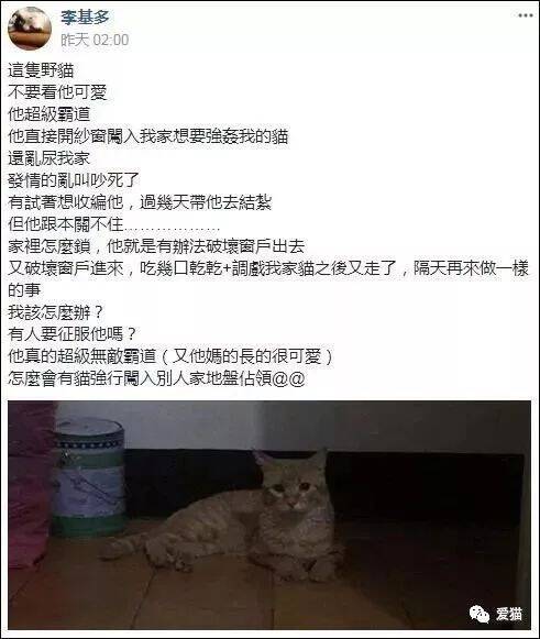 这只流浪猫多次开纱窗闯入网友的家里，竟为了做这种事，笑喷~