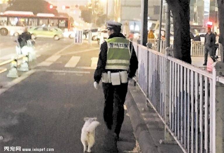 一只流浪狗和一位辅警的故事温暖蓉城冬夜