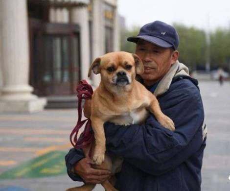 小土狗每天帮清洁工捡垃圾，这一捡，就是三年...