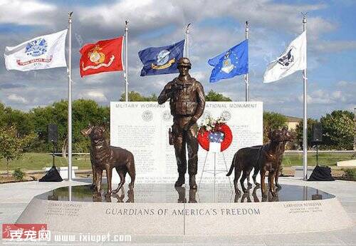 工作犬从军记：工作犬被美军视为增强战斗力的手段