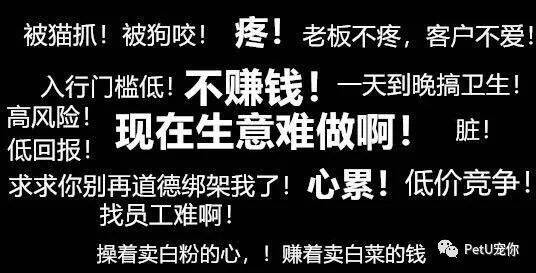 宠物行业门槛低？——“行业抛弃你时，不会说再见。”