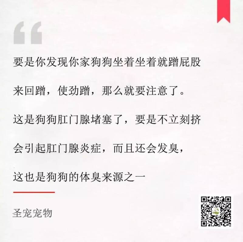 【荐读】宠物每日小知识-狗狗什么时候除臭？