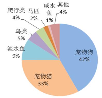 2016年中国宠物行业发展现状分析【图】