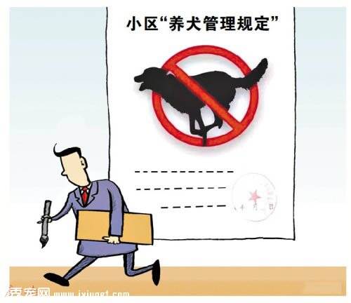 为文明养犬，广州某小区“宠物环保屋”很受欢迎
