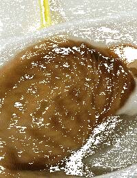 猫在猫砂里玩一坨黄色的东西，本以为是在玩猫屎，走近一看，笑疯...