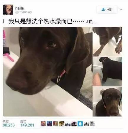 自从家里养狗之后，就跟养了个孩子似得....