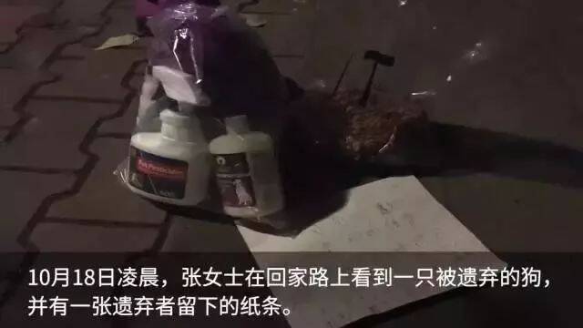 网友捡到一条被遗弃的狗，纸条上竟写着：别杀它好吗？