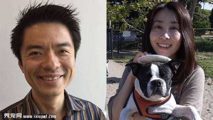 日本推出Meet My Dog手机应用 通过匹配宠物来进行社交
