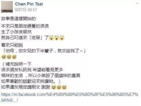 长期喂养的流浪猫生了宝宝以后，竟然…