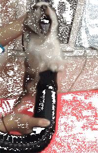 主人给刚洗完澡的小哈士奇吹毛，结果狗子的反应，笑喷了...