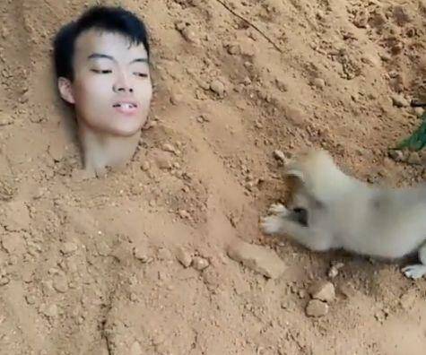 男子让朋友把自己埋进土堆里，随后爱犬的做法让朋友大开眼界