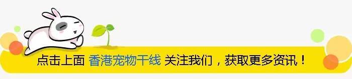 兔子百货·湖北省襄阳店8月17日开业大优惠啦！小宠送送送！