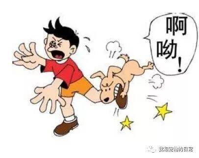 好心人喂养的流浪狗咬了人，结果惹来赔偿纠纷，患者要求好心人出疫苗费用！