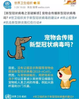 疫情期,消毒防疫和宠物健康一个都不能少!