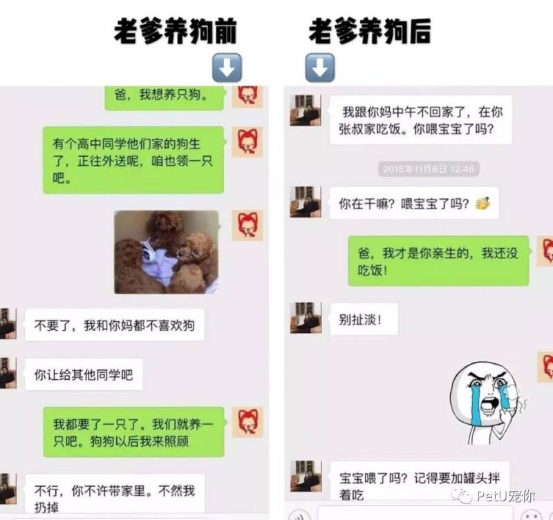 让父母只养狗，除了可以鉴定自己是不是亲生的，还可以......