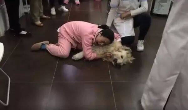 女子八年爱犬被毒杀倒地痛哭，希望能推进动保法.....