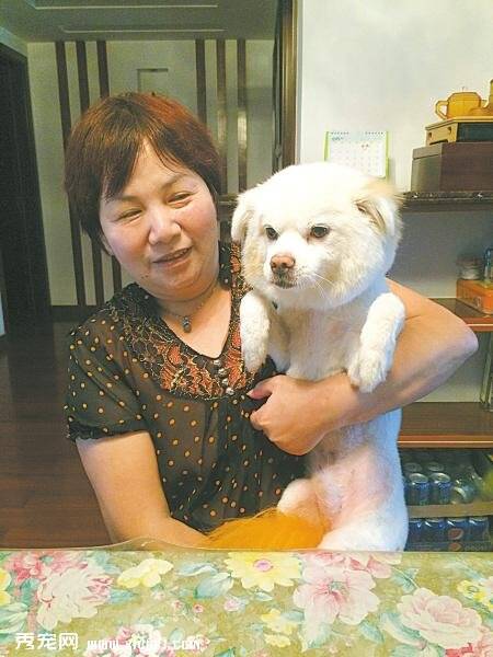 抱狗阿姨王丽芬十年收养上百条流浪狗
