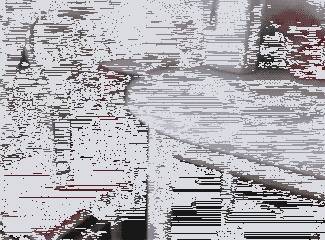 这大概是我见过最笨的猫了，真是尴尬极了……