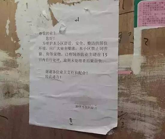 物业通知：本小区禁止养狗，请15天内处理，否则后果自负....