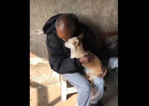 狗不嫌家贫，老爷爷深情的拥抱老狗，下一秒感人落泪！