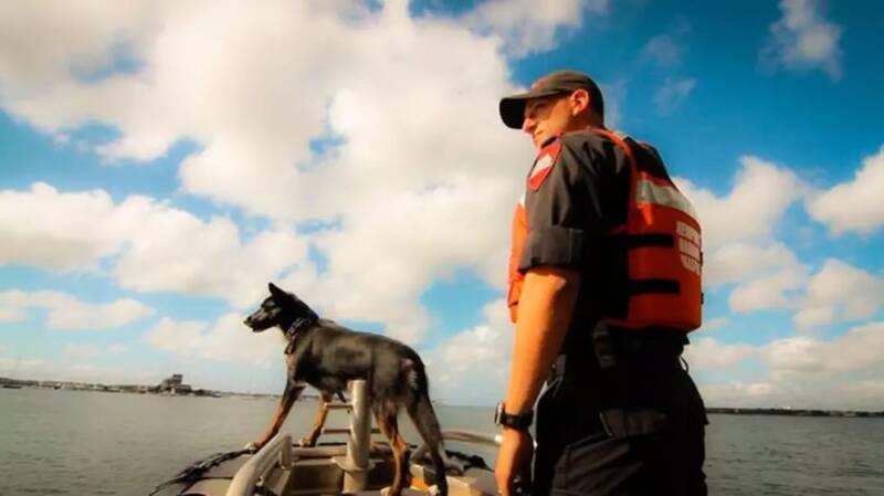 她8年前救助一只流浪狗，8年后狗狗变成警犬救了她的儿子！